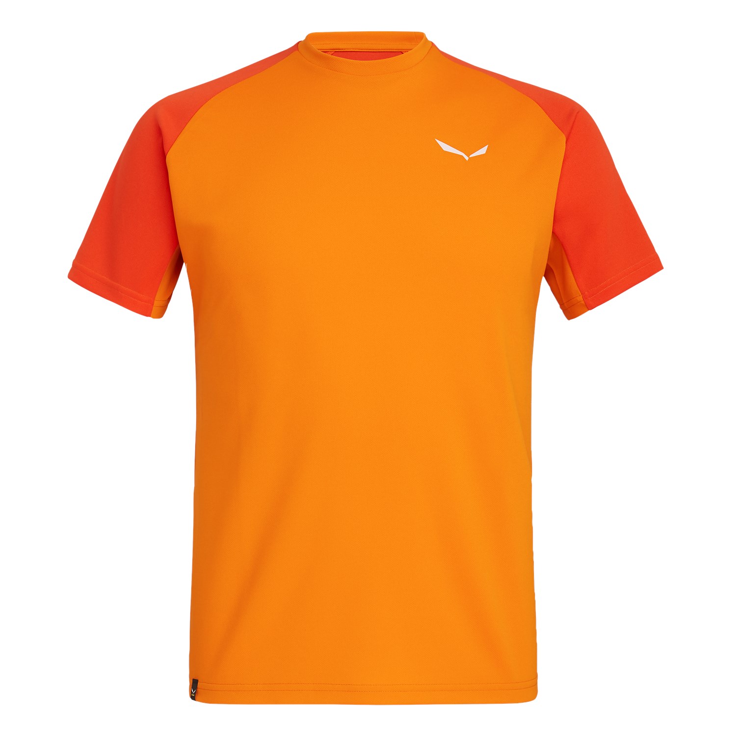Salewa Sporty B 3 Dry Erkek T-Shirts Turuncu Türkiye 205938JDI